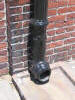 dolphin iron downspouts