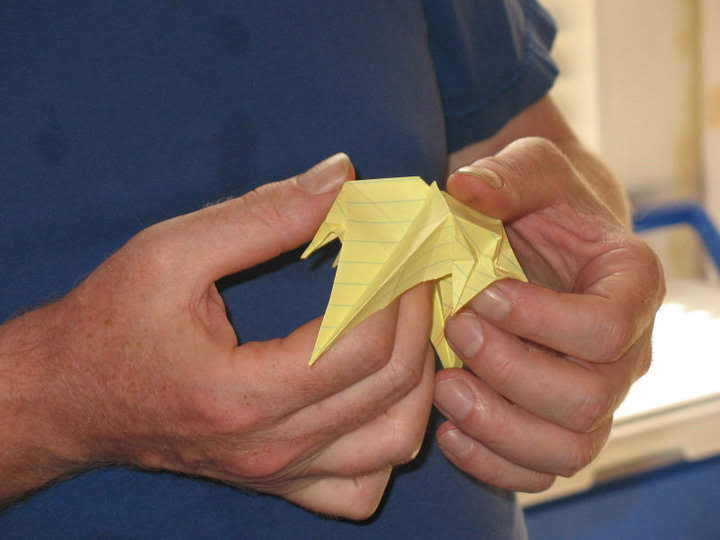 hands making origami
